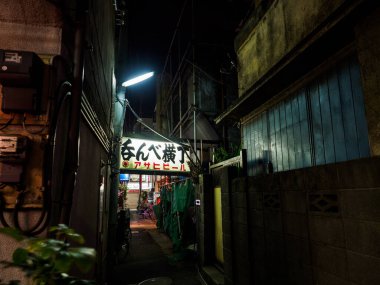 OLYMPUS DIGITAL CAMERATateishi, Japonya Tokyo