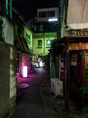 OLYMPUS DIGITAL CAMERATateishi, Japonya Tokyo