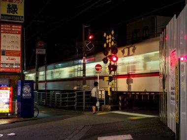 OLYMPUS DIGITAL CAMERATateishi, Japonya Tokyo