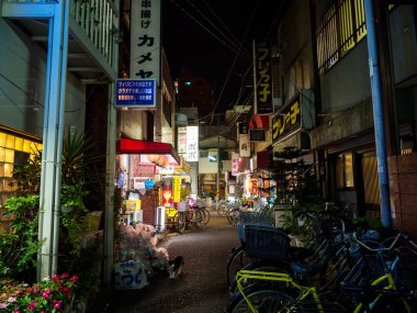 OLYMPUS DIGITAL CAMERATateishi, Japonya Tokyo