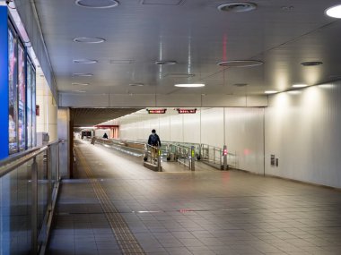 Japonya 'daki Haneda Havaalanı