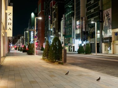 Ginza gece manzarası, Japonya Tokyo