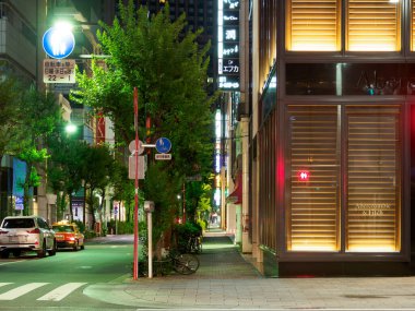 Ginza gece manzarası, Japonya Tokyo