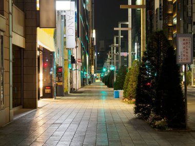 Ginza gece manzarası, Japonya Tokyo