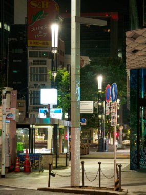 Ginza gece manzarası, Japonya Tokyo