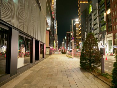 Ginza gece manzarası, Japonya Tokyo