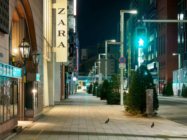 Ginza gece manzarası, Japonya Tokyo