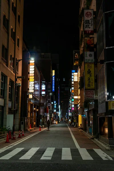 Ночной Вид Гинзы Япония Токио — стоковое фото