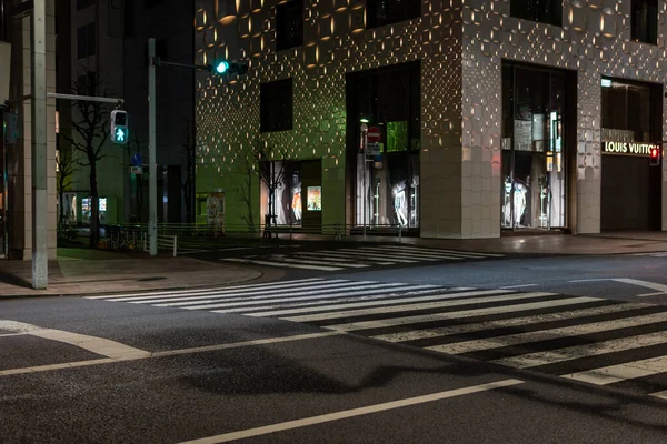 Widok Nocy Ginza Japonia Tokio — Zdjęcie stockowe