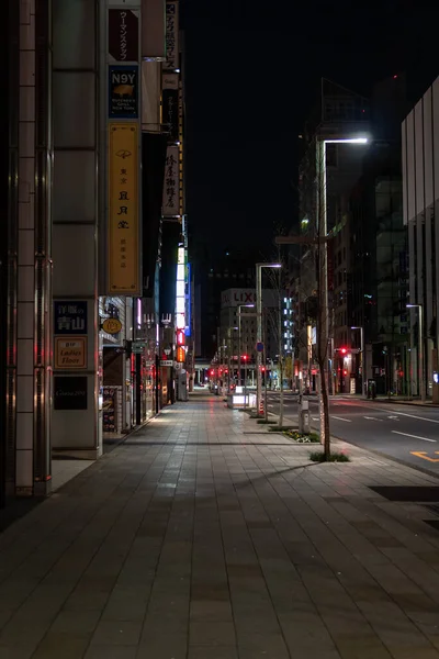 Vista Nocturna Ginza Japón Tokio —  Fotos de Stock