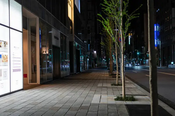 Ginza gece manzarası, Japonya Tokyo