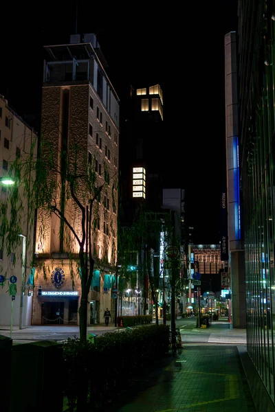 Ginza Gece Manzarası Japonya Tokyo — Stok fotoğraf