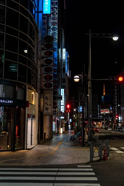 Widok Nocy Ginza Japonia Tokio — Zdjęcie stockowe