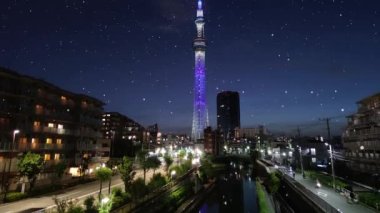 Sentetik Tokyo kar yağışı gece görüntüsü CG hareket grafikleri