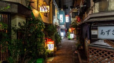 Sentetik Tokyo kar yağışı gece görüntüsü CG hareket grafikleri