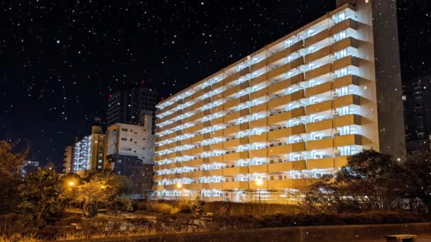 Sentetik Tokyo Kar Yağışı Gece Görüntüsü Hareket Grafikleri — Stok video