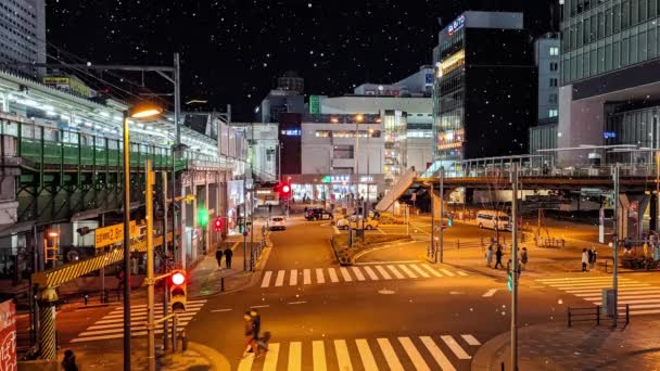 Syntetické Tokyo Sněžení Noční Pohled Pohyb Grafiky — Stock video