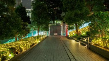 Sentetik Tokyo kar yağışı gece görüntüsü CG hareket grafikleri