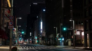 Sentetik Tokyo kar yağışı gece görüntüsü CG hareket grafikleri