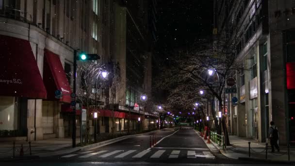 合成東京降雪夜景Cgモーショングラフィックス — ストック動画