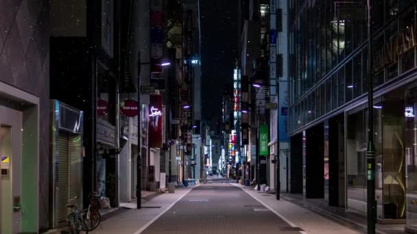 Synthétique Tokyo Neige Vue Nuit Motion Graphics — Video