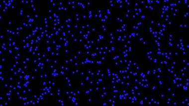 Nokta Artırma Yuvarlak Fırça Canlandırma Grafikleri