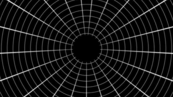 Graphismes Mouvement Animation Grid Forward — Video