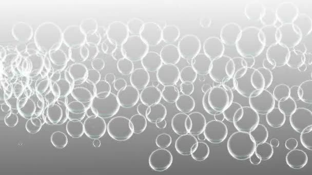 Bubbles Bewegende Animatie Motion Graphics — Stockvideo