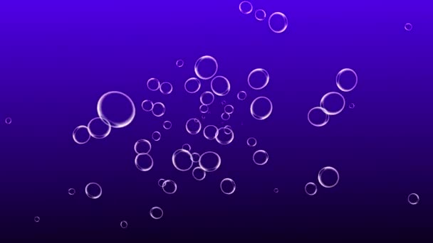 Bubbles Moving Animation Motion Graphics — Stock Video