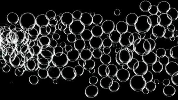 Bubbles Moving Animation Motion Graphics — Stockvideo