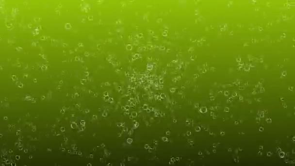 Bubbles Bewegende Animatie Motion Graphics — Stockvideo