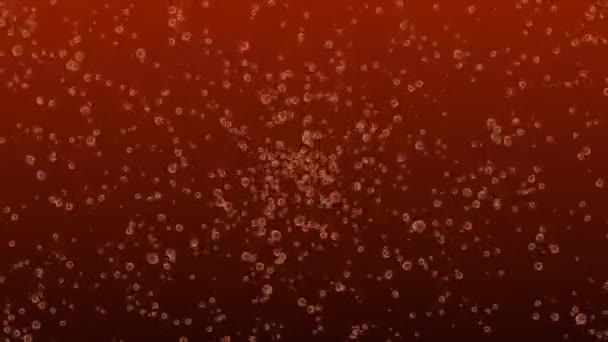 Bubbles Moving Animation Motion Graphics — Video Stock