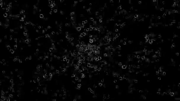 Bubbles Animations Mouvement Motion Graphiques — Video