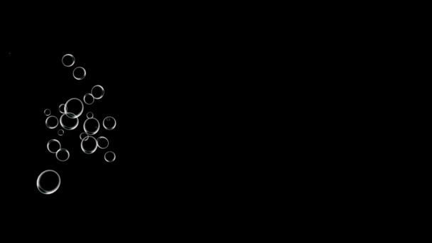 Bolhas Movimento Animação Movimento Gráficos — Vídeo de Stock