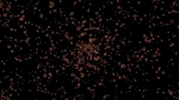 Bubbles Moving Animation Motion Graphics — Stockvideo