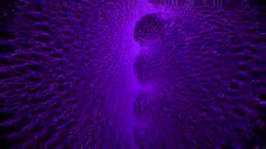 Nokta Şekli Şekil Canlandırma GrafikleriName