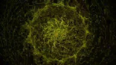 Nokta Şekli Şekil Canlandırma GrafikleriName