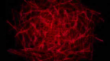 Nokta Şekli Şekil Canlandırma GrafikleriName