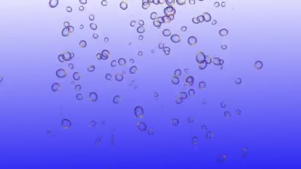 Bubbles Moving Animation Motion Graphics — Stockvideo