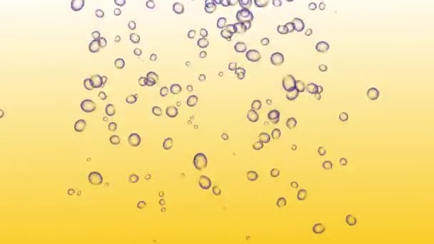 Bubbles Bewegende Animatie Motion Graphics — Stockvideo