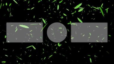 YouTube kart sonu ekran hareketi grafikleri