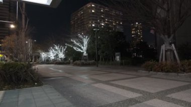 Tokyo Toyosu Night View December 2021
