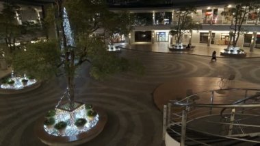 Tokyo Toyosu Night View December 2021