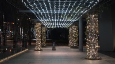 Tokyo Toyosu Night View December 2021