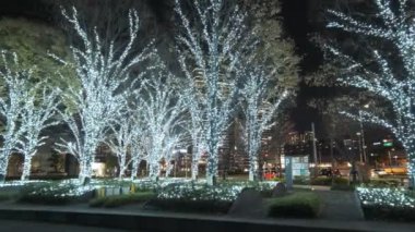 Tokyo Toyosu Night View December 2021
