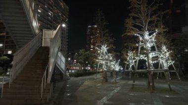 Tokyo Toyosu Night View December 2021