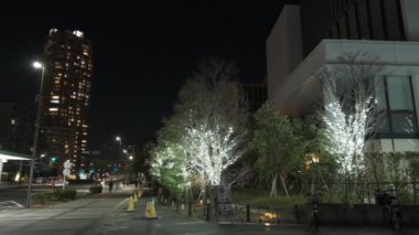 Tokyo Toyosu Night View December 2021