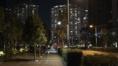 Tokyo Toyosu Night View December 2021