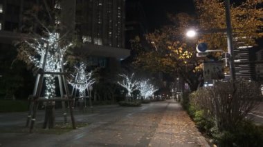 Tokyo Toyosu Night View December 2021
