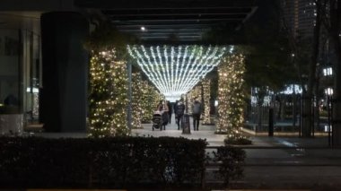 Tokyo Toyosu Night View December 2021